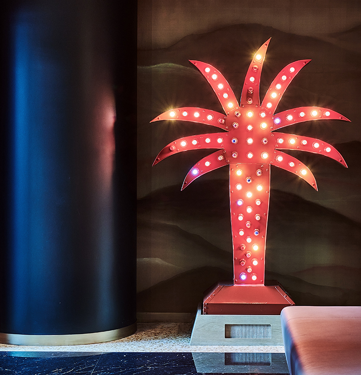 Yto Barrada Desert Palm on the Ground Floor